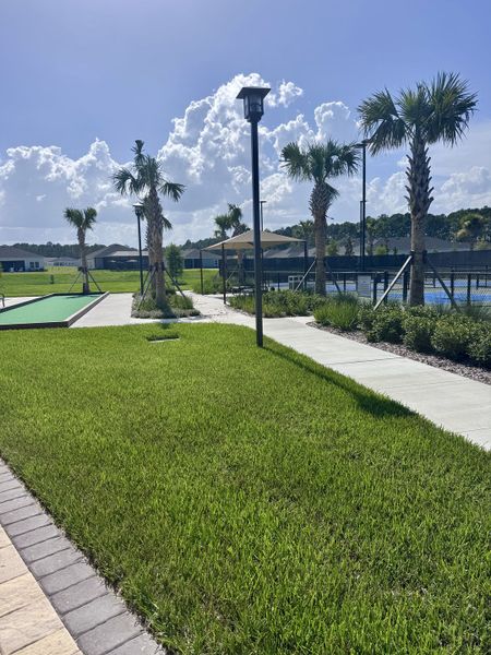 A vibrant outdoor area with palm trees and pathways in Edenbrooke at Hyland Trail by Lennar (Green Cove Springs, FL).