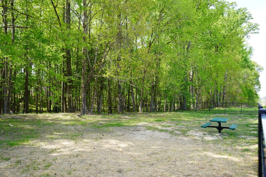 A neighborhood dog park with room to roam and shade to recharge A neighborhood dog park with room to roam and shade to recharge