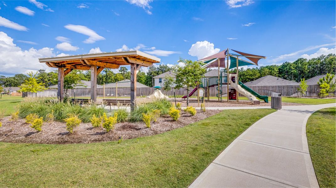 Pinewood at Grand Texas