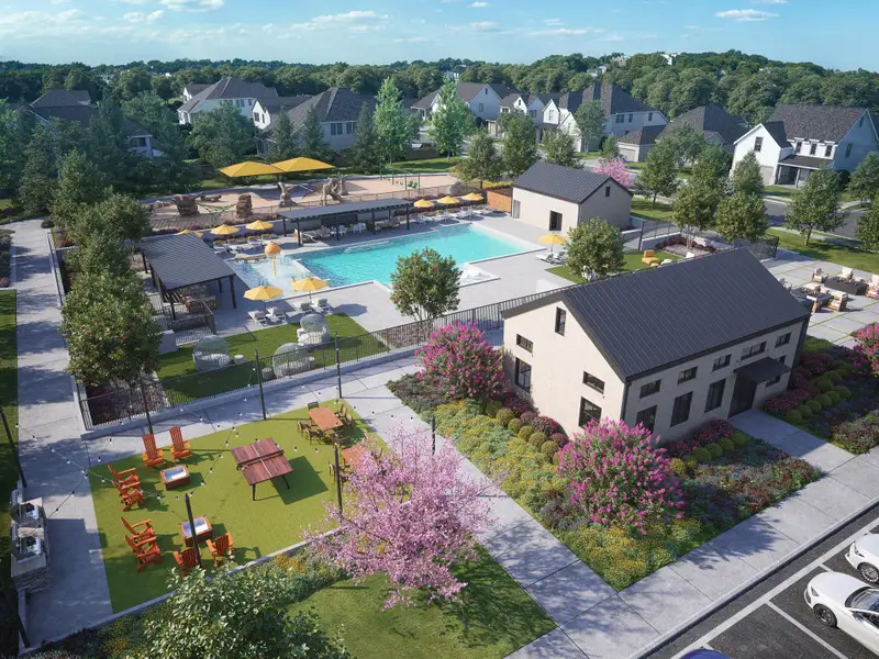 Lone Oak Conceptual Community Photo Lone Oak Conceptual Community Photo