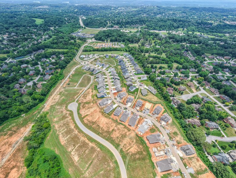 The Vintage at Ivey Farms