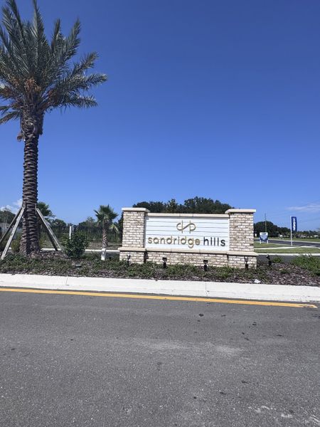Charming entrance to Sandridge Hills by Mattamy Homes in Green Cove Springs, FL, featuring a stylish stone sign and palm trees.