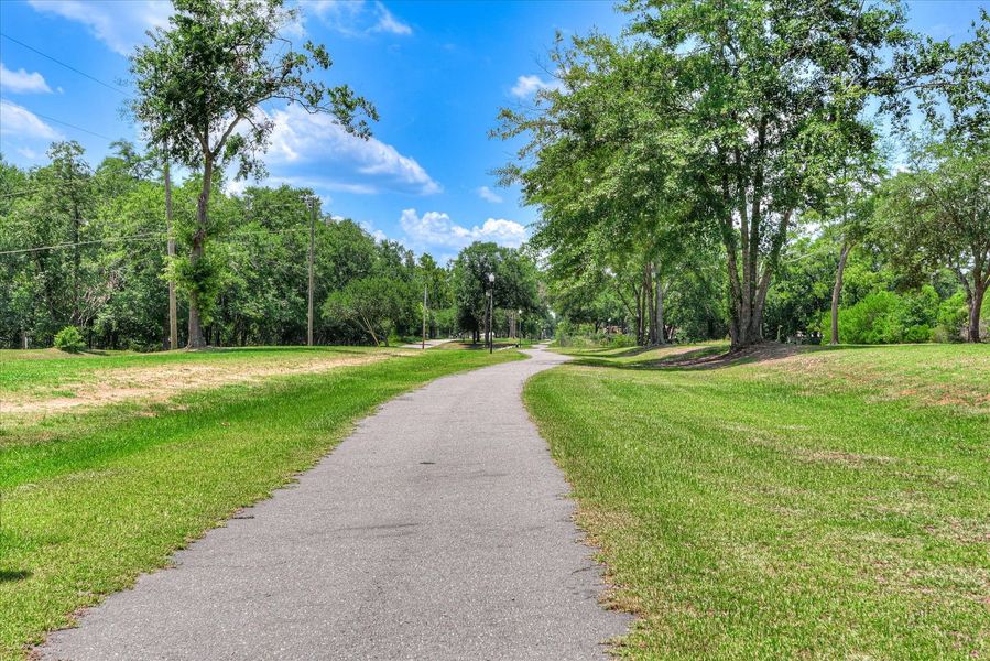 Natural surroundings and green spaces near Old Charleston Acres in Pelion, SC (Image 9).