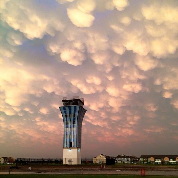 Image 4 of the Mueller – Flex Row Homes community in Austin, TX.