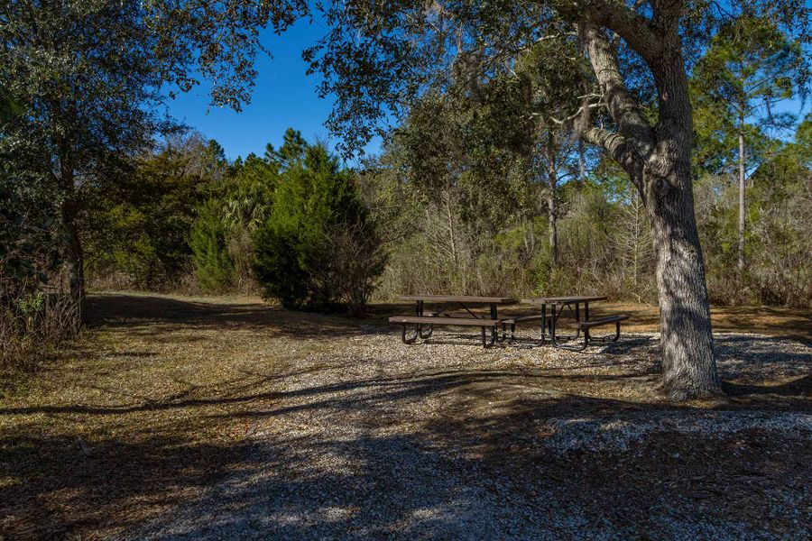 Pine Meadows Conservation Area