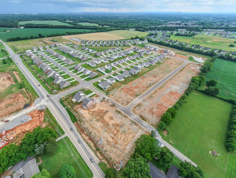 New Phase NOW SELLING!