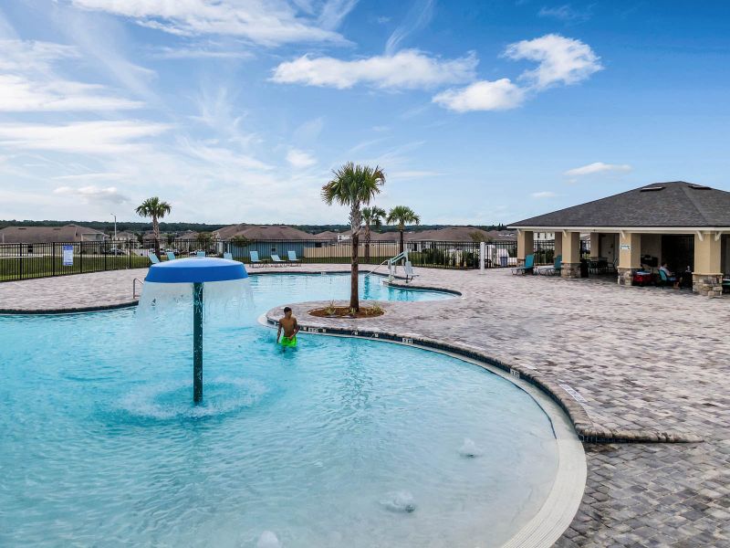 Image 36 of the Forest Lake community in Davenport, FL.