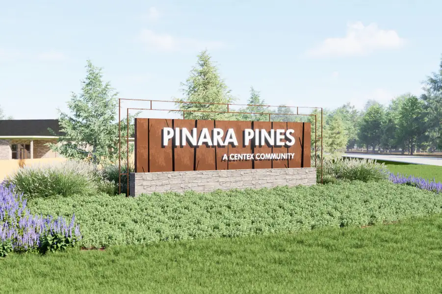 Entrance to the Pinara Pines community in Conroe, TX, featuring signage and landscaping (Image 8).