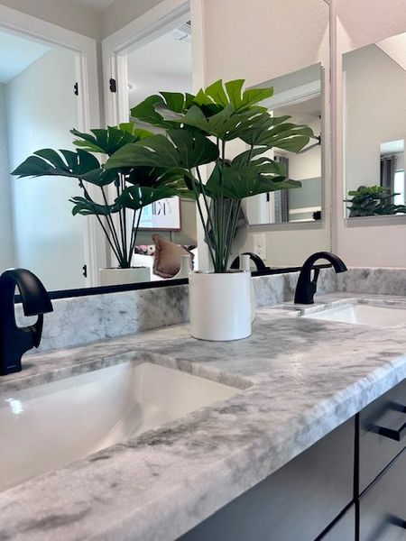 A modern bathroom with a sleek marble countertop, dual sinks, dark fixtures, and a decorative plant.