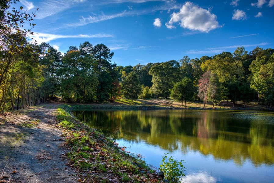 Natural surroundings and green spaces near McLean - Waterfront in Clover, SC (Image 7).