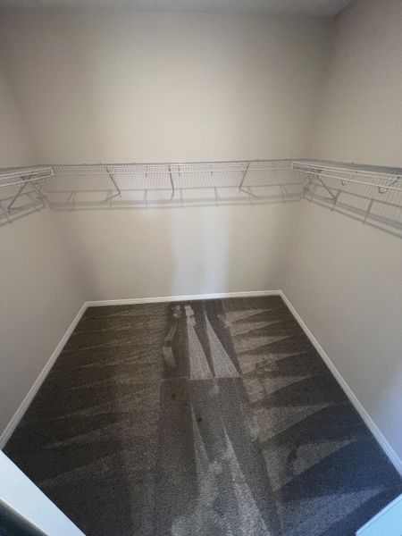 A spacious walk-in closet with neutral walls, carpet flooring, and wire shelving. Perfect for organized storage.