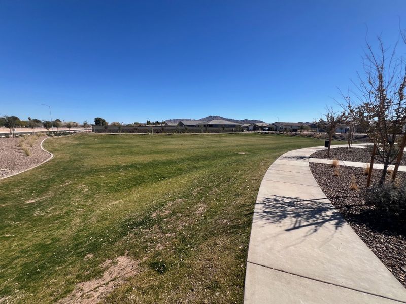 Spacious green park with paved walking paths in Estates at Estrella Crossing by Ashton Woods, Phoenix, AZ.