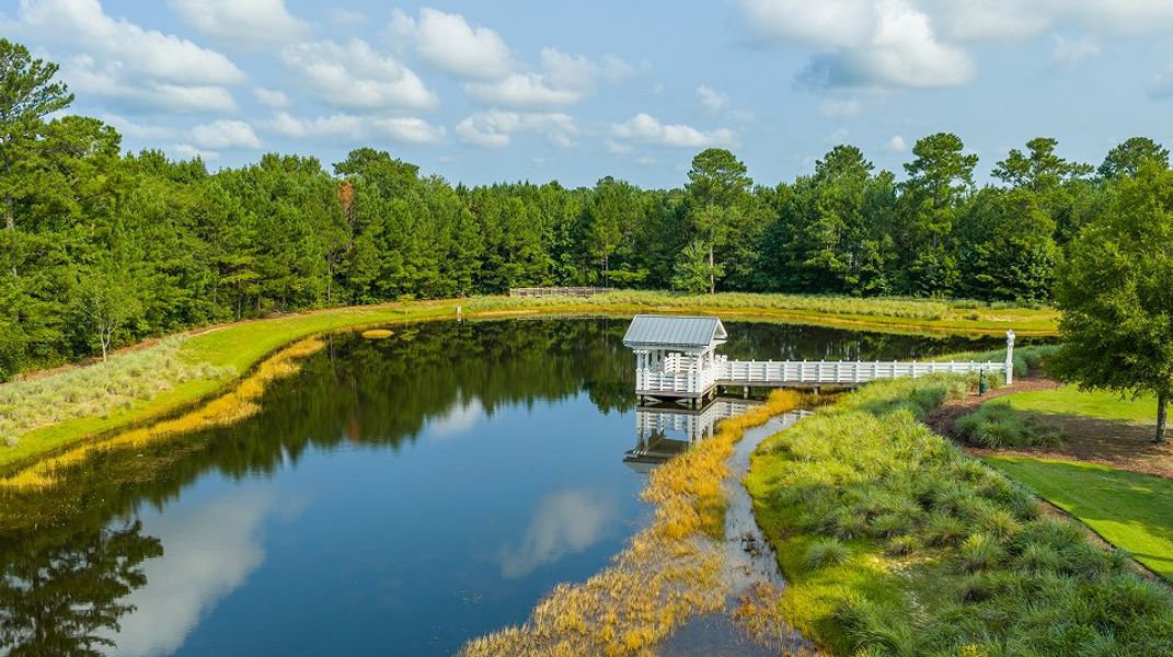 Piney Pointe Amenity Parks 1of2