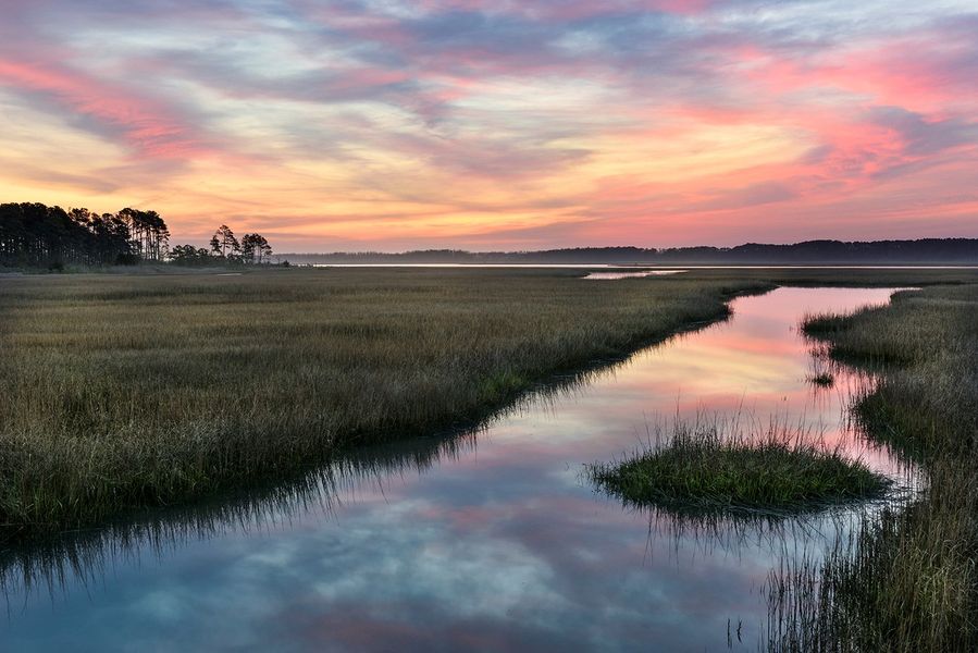 Natural surroundings and green spaces near East & Mason in Wilmington, NC (Image 63).