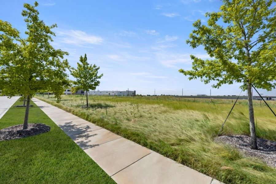 Natural surroundings and green spaces near Chelsea Commons in Allen, TX (Image 71). Natural surroundings and green spaces near Chelsea Commons in Allen, TX (Image 71).
