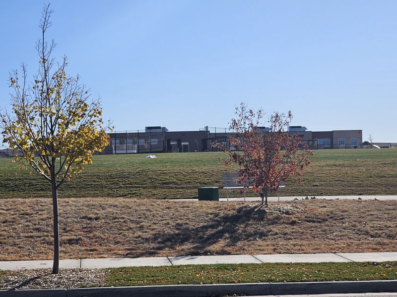 Wide green space with trees and a distant community center in Erie Highlands by Oakwood Homes Co (Erie, CO).