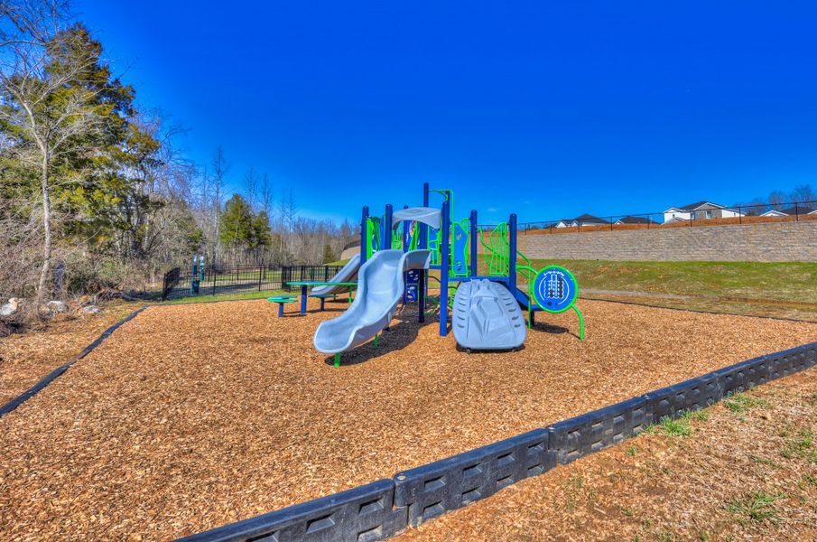 Community amenity available to residents of Wyncliff in Clarksville (Image 2).