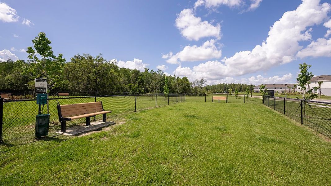 Community amenity available to residents of The Towns at Firethorn in Parrish (Image 15).