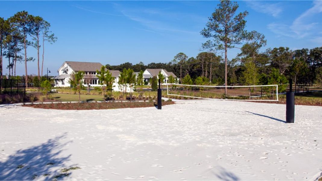 Volleyball court Volleyball court