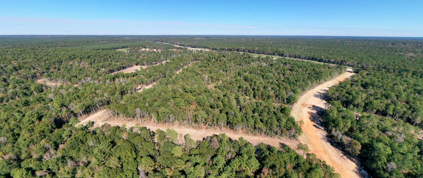 Natural surroundings and green spaces near Texas Grand Ranch in Huntsville, TX (Image 4).
