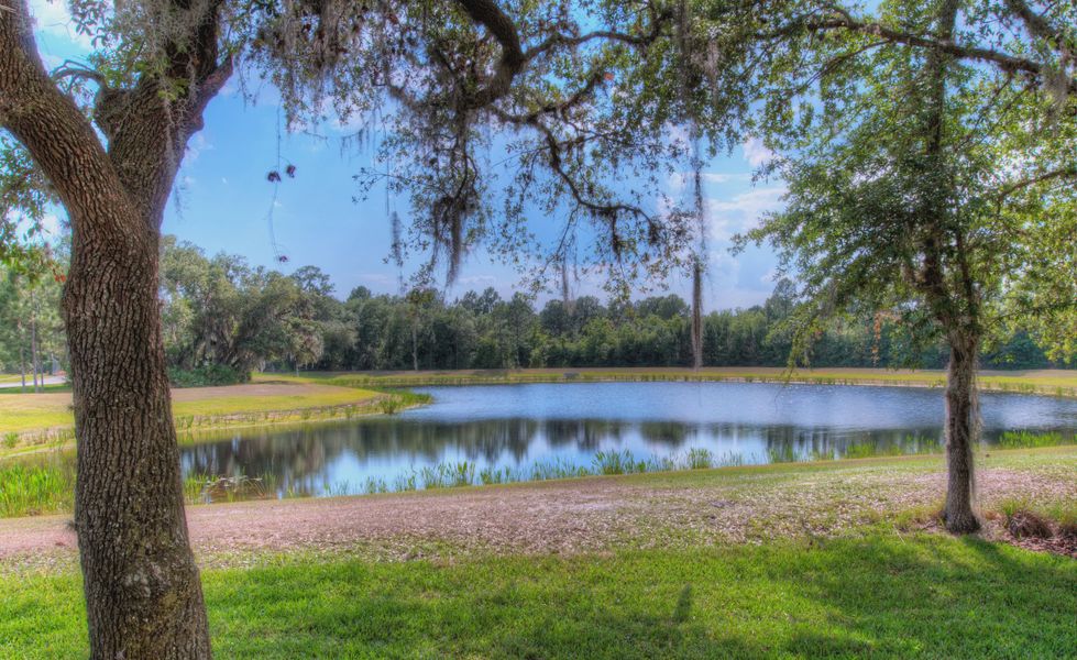 Natural surroundings and green spaces near Live Oak Estates in Orlando, FL (Image 6). Natural surroundings and green spaces near Live Oak Estates in Orlando, FL (Image 6).