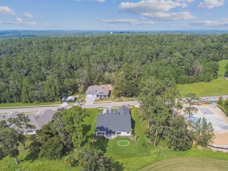 Southern Hills Plantation,34601