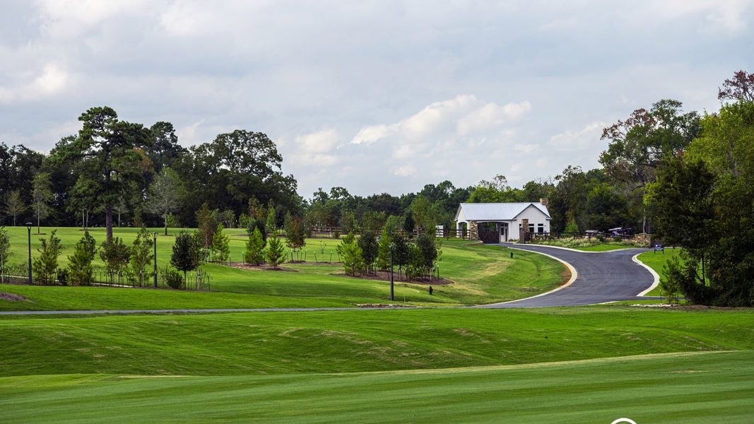 Natural surroundings and green spaces near Chambers Creek in Willis, TX (Image 20).