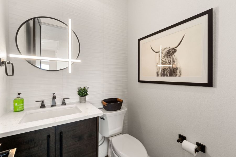 The Aurora Highlands,80019