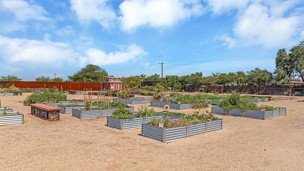 Community amenity available to residents of Coronet at Gladden Farms in Marana (Image 39).