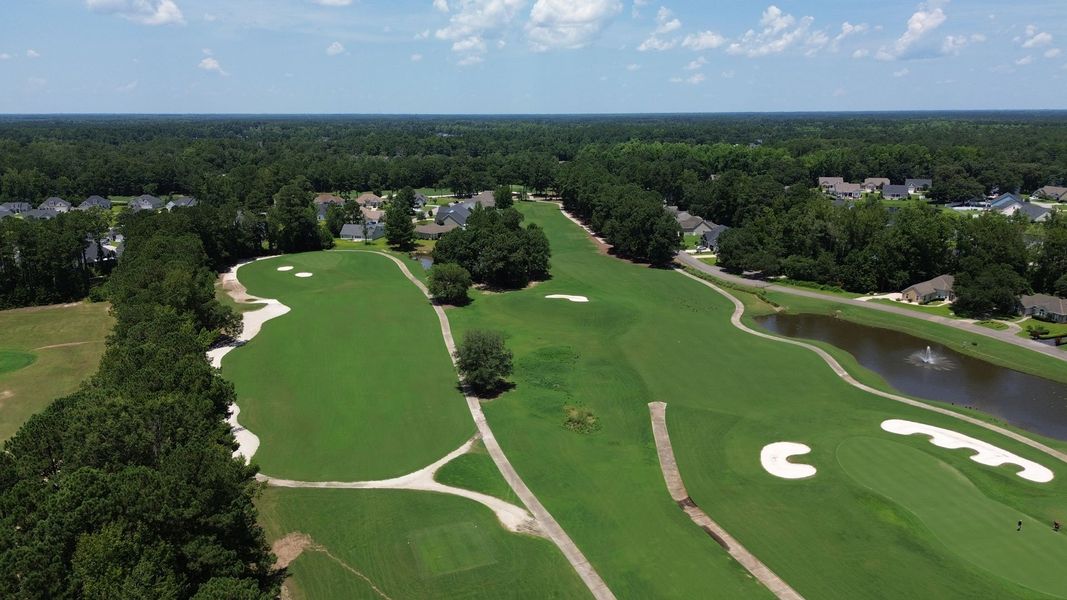 Image 13 of the The Preserve at Shaftesbury Glen community in Conway, SC.