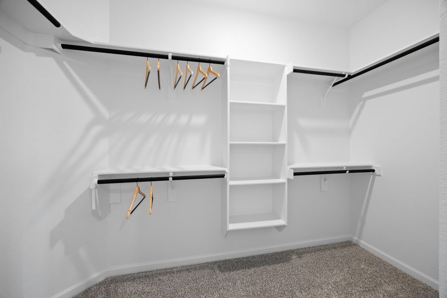 Palmilla Springs - Elderberry Model Home