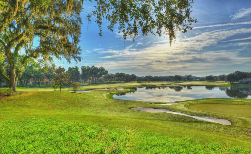 Natural surroundings and green spaces near Lake Jovita in Dade City, FL (Image 8). Natural surroundings and green spaces near Lake Jovita in Dade City, FL (Image 8).