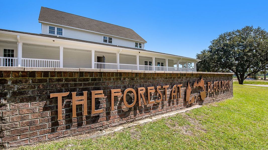 Front exterior of a home in the The Forest at Black Bear community, located in Longs, SC (Image 9).