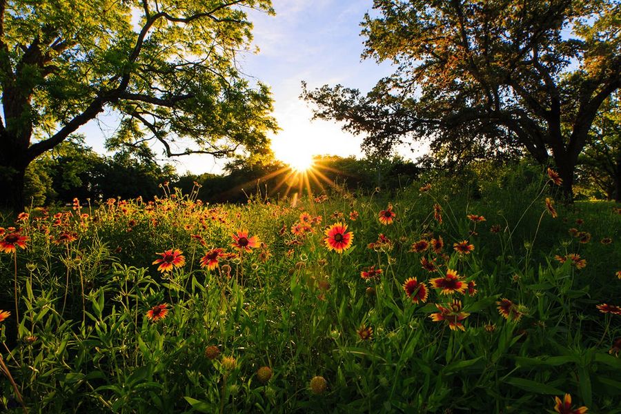 An easy drive to Guadalupe River State Park