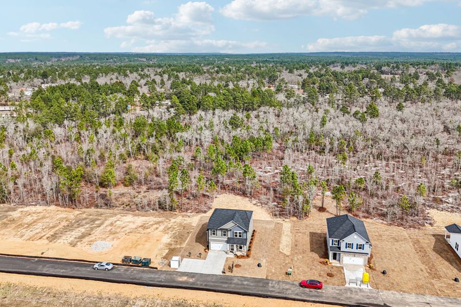 Old Charleston Acres Aerial View