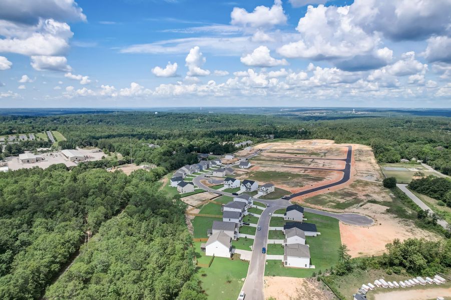 Aerial view of the Beach Forest community in Sumter, SC, showing layout and nearby surroundings (Image 13).