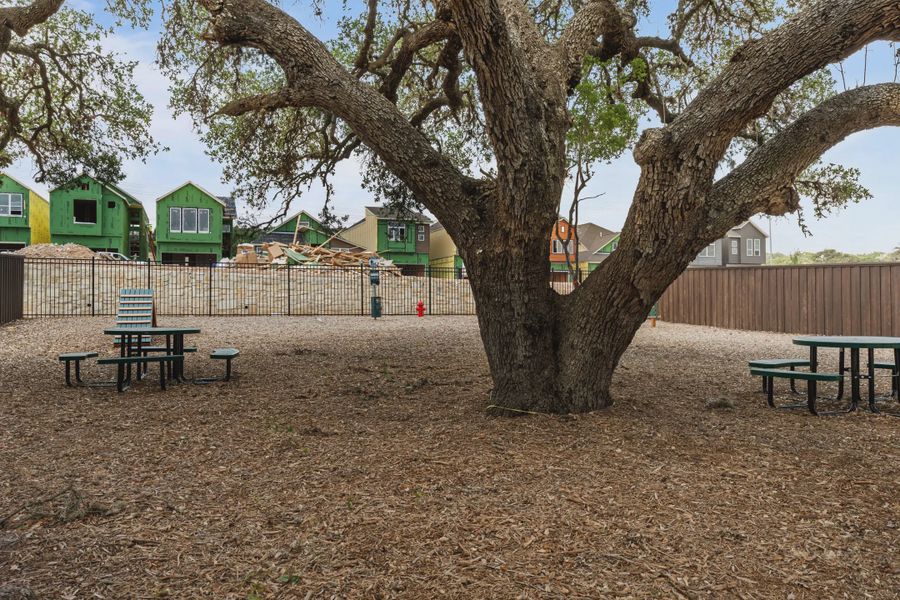 Community amenity available to residents of Centero at Stone Oak in San Antonio (Image 3).