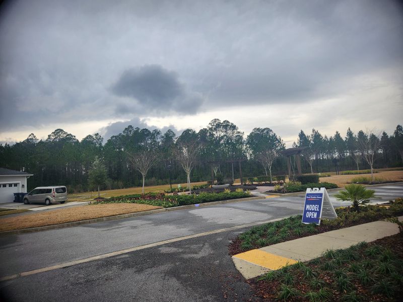 Scenic view of a model home in Tributary 70' by David Weekley Homes, Yulee, FL, with lush greenery and a cloudy sky.