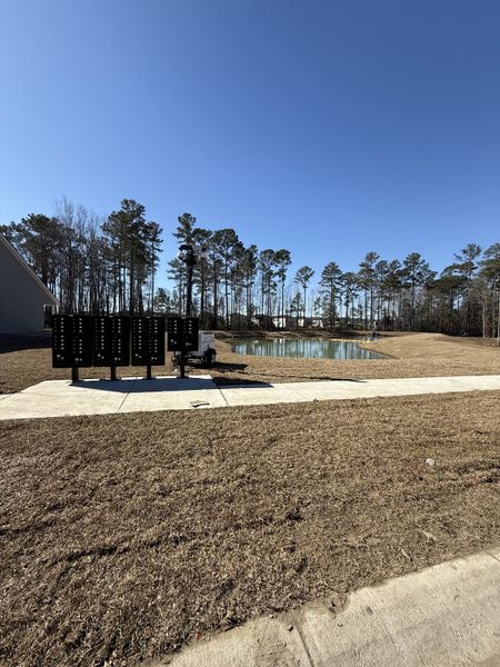 A serene community pond view with lush surroundings in Lindera Preserve at Cane Bay Plantation by Lennar (Summerville, SC).