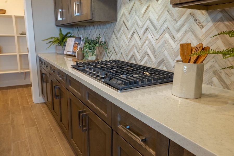 Close-up of interior finishes in a home at Blossom Rock Reserve Series, Apache Junction (Image 31).