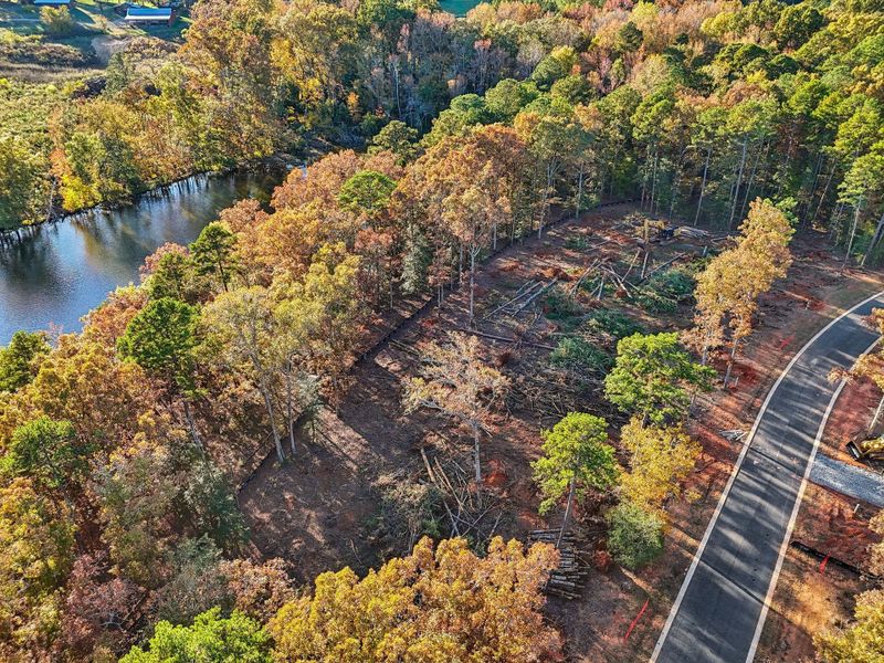Natural surroundings and green spaces near Edgewater on Lake Tillery Waterfront in Norwood, NC (Image 23).