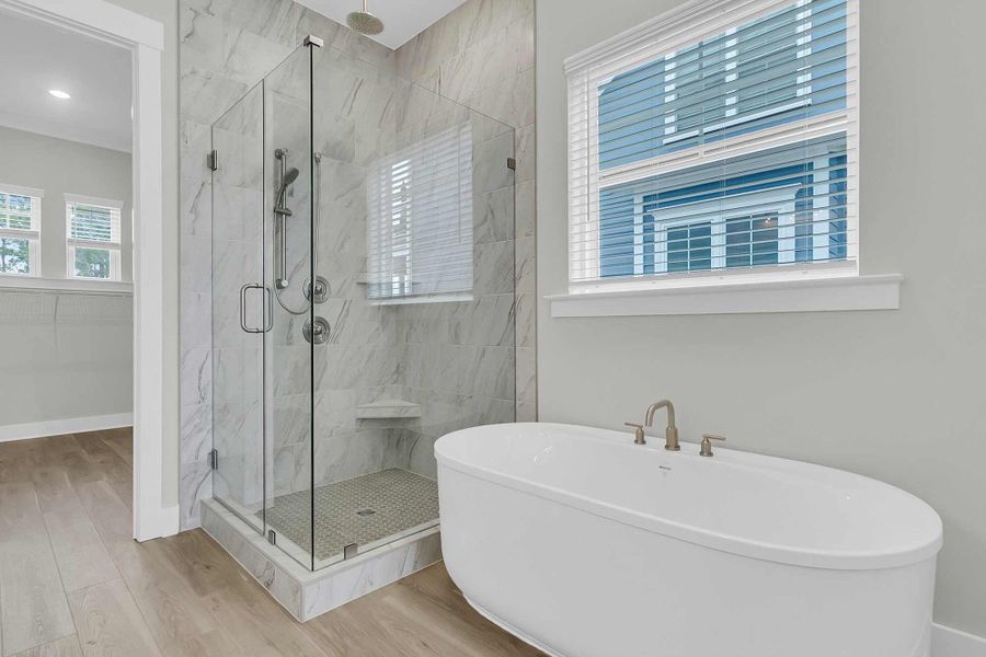 Furnished interior in a model home at Discover Series – Elevate in Mount Pleasant (Image 7).