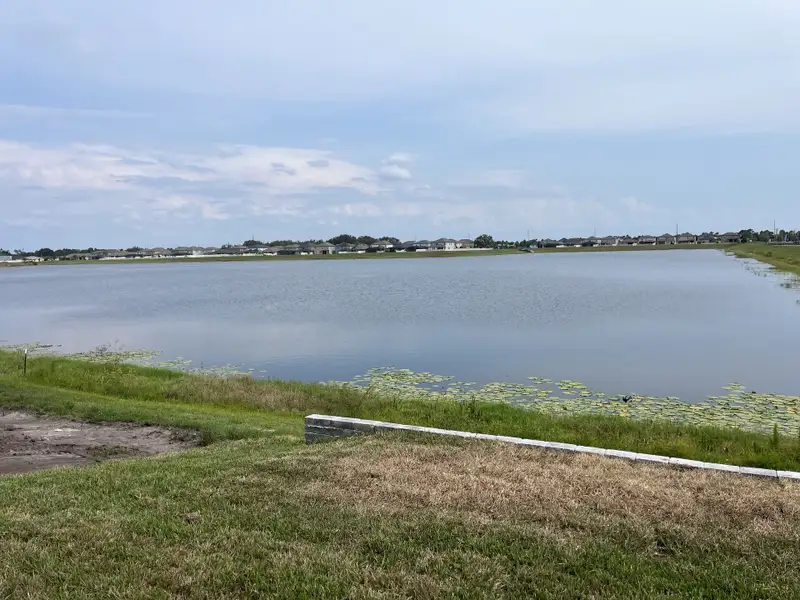 A serene lakefront view in The Peninsula at Rhodine Lake by David Weekley Homes, Riverview, FL, offers tranquil living.