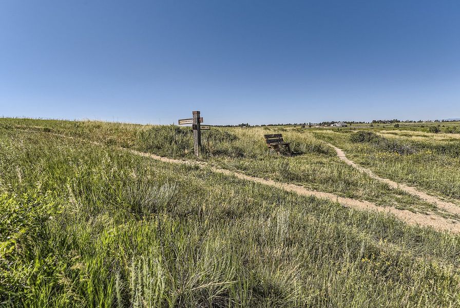 Denver Parker Hilltop Trails Photoshoot