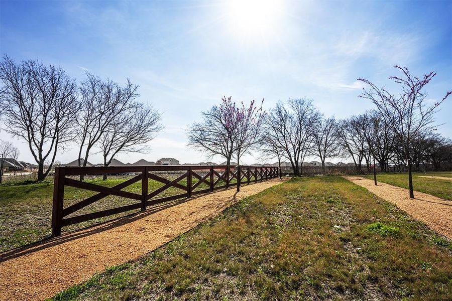 Image 12 of the The Homestead at Ownsby Farms community in Celina, TX.