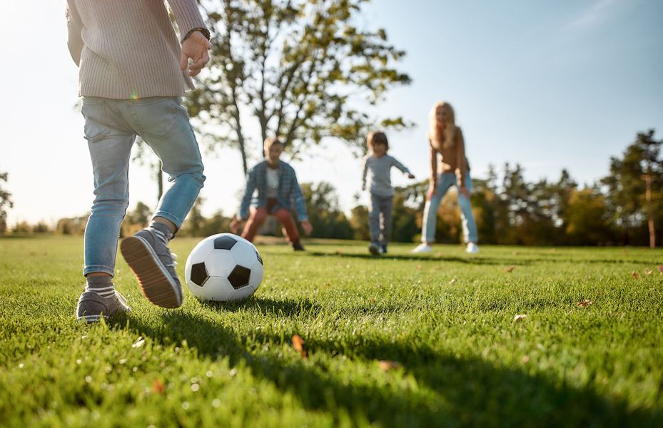 Open Green Space & Playfield