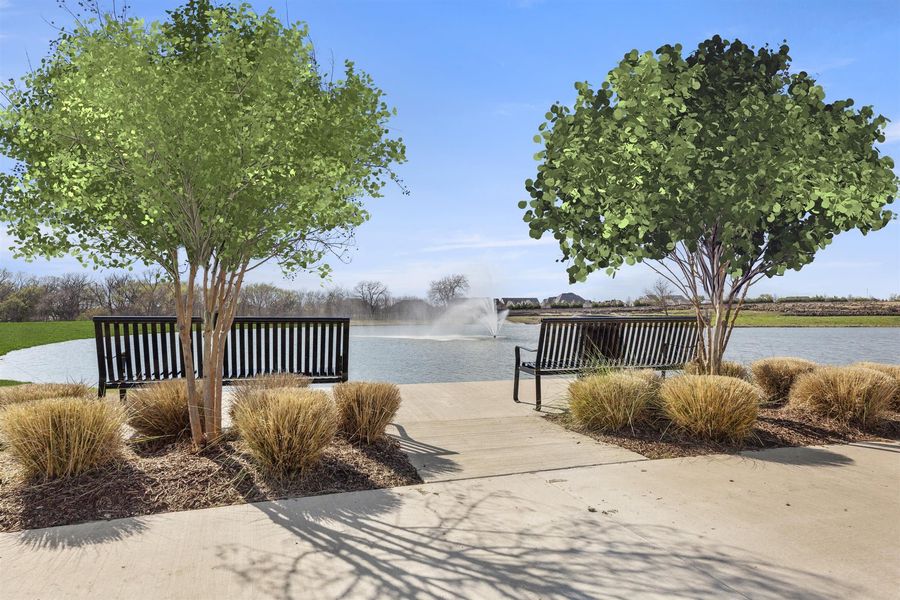Image 8 of the Wellspring Estates community in Celina, TX.
