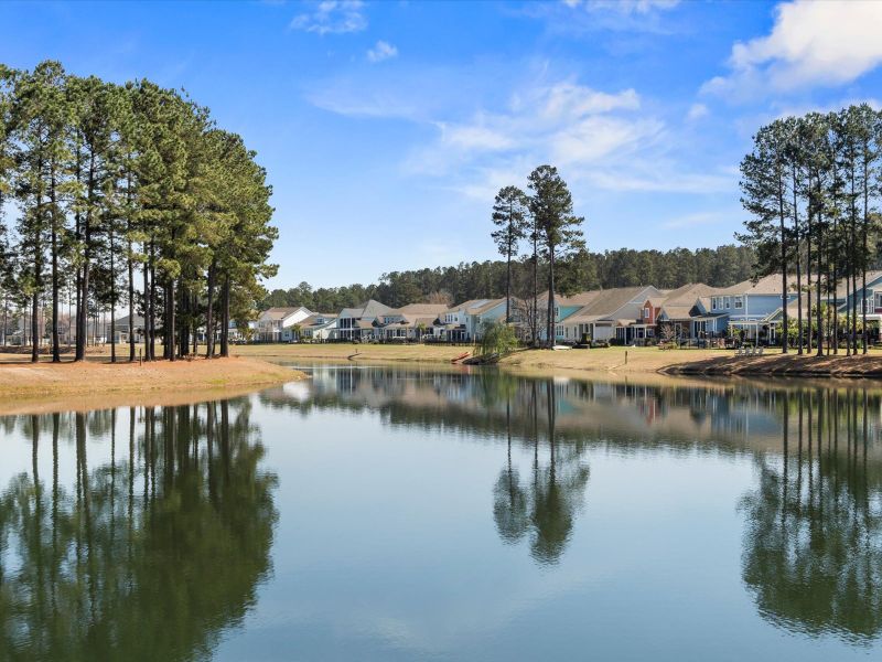 Natural surroundings and green spaces near The Coves at Lakes of Cane Bay in Summerville, SC (Image 40). Natural surroundings and green spaces near The Coves at Lakes of Cane Bay in Summerville, SC (Image 40).