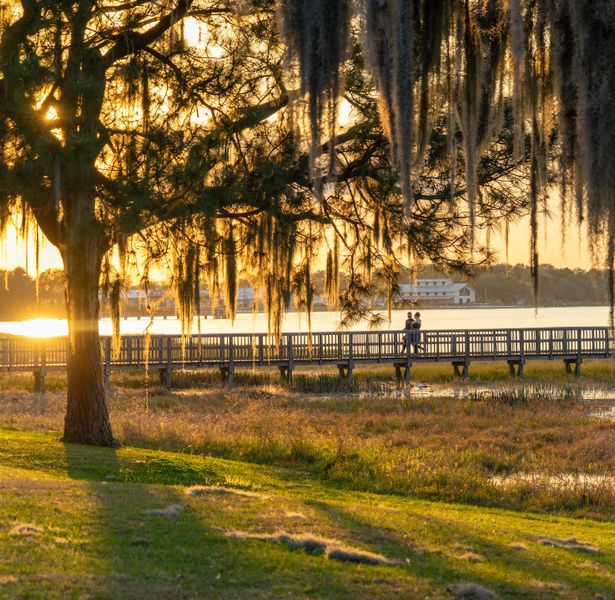 Natural surroundings and green spaces near Cypress Reserve in Clermont, FL (Image 2). Natural surroundings and green spaces near Cypress Reserve in Clermont, FL (Image 2).