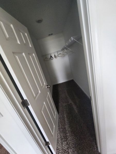 A spacious walk-in closet with carpeted flooring, white shelves, and ample hanging space. A spacious walk-in closet with carpeted flooring, white shelves, and ample hanging space.